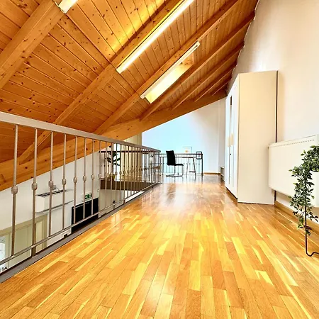 Little Loft * 蒂米什瓦拉